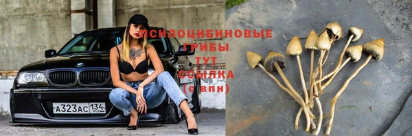 соль ск Иннополис