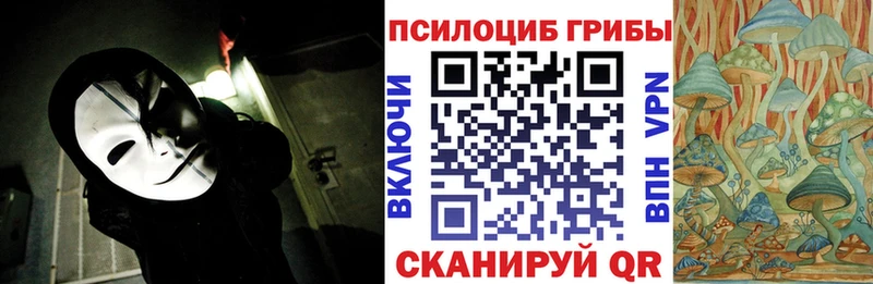 mega как войти  Нальчик  Псилоцибиновые грибы MAGIC MUSHROOMS  сколько стоит 