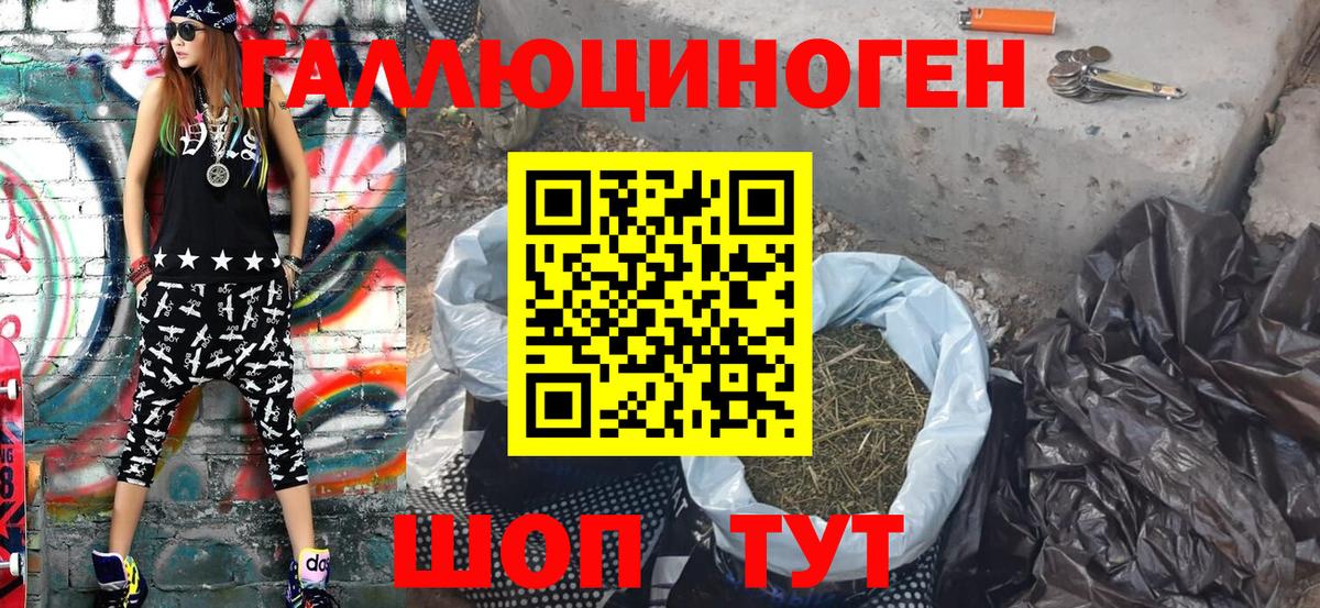 Нальчик  где найти   Вход с VPN  Псилоцибиновые грибы Psilocybine cubensis 