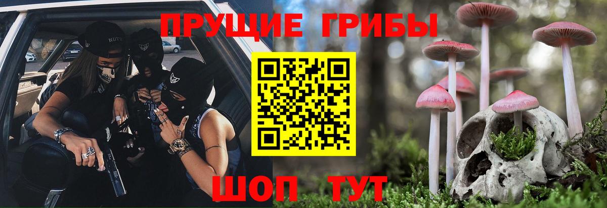 Галлюциногенные грибы Psilocybe Нальчик
